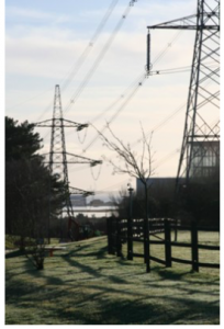 A large pylon tower overlooking woodland