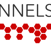 NNELS Logo