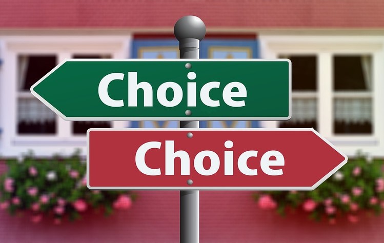 2 signposts both labelled "Choice" pointing in different directions, emphasizing the variety of options available to ebook purchasers