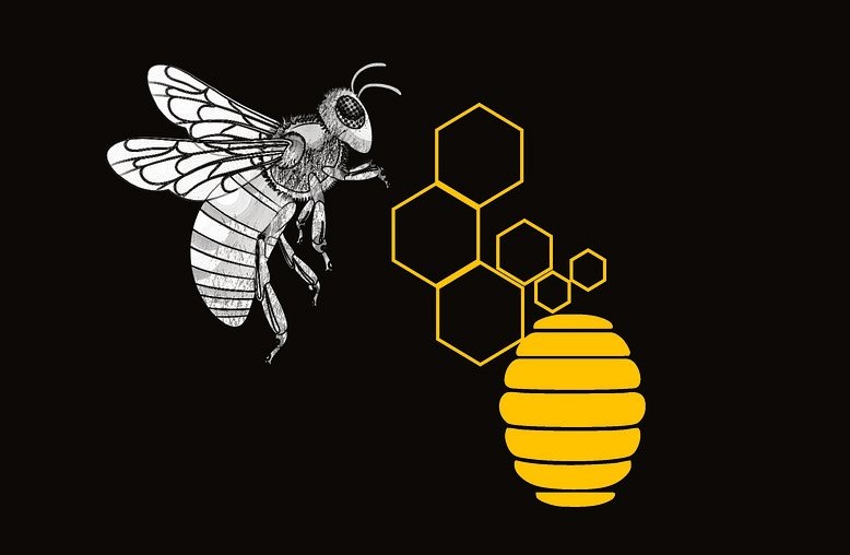 Ahand drawn honeybee hovering over an icon of a hive denoting activity